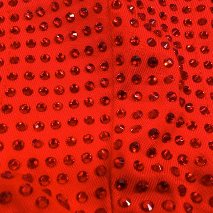 Siam Crystals on Dark Red Fabric Swim Briefs
